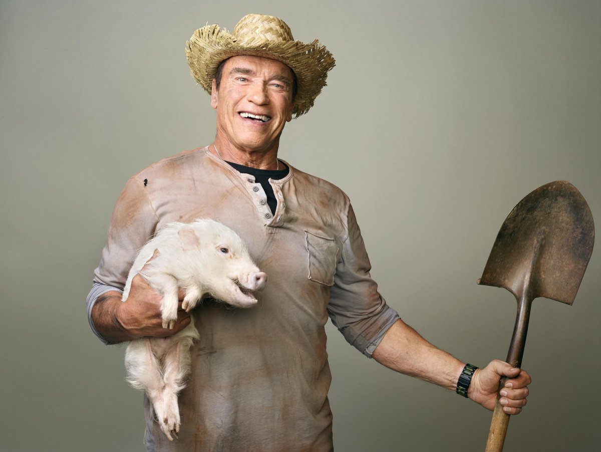 Арнольд Шварценеггер фермер