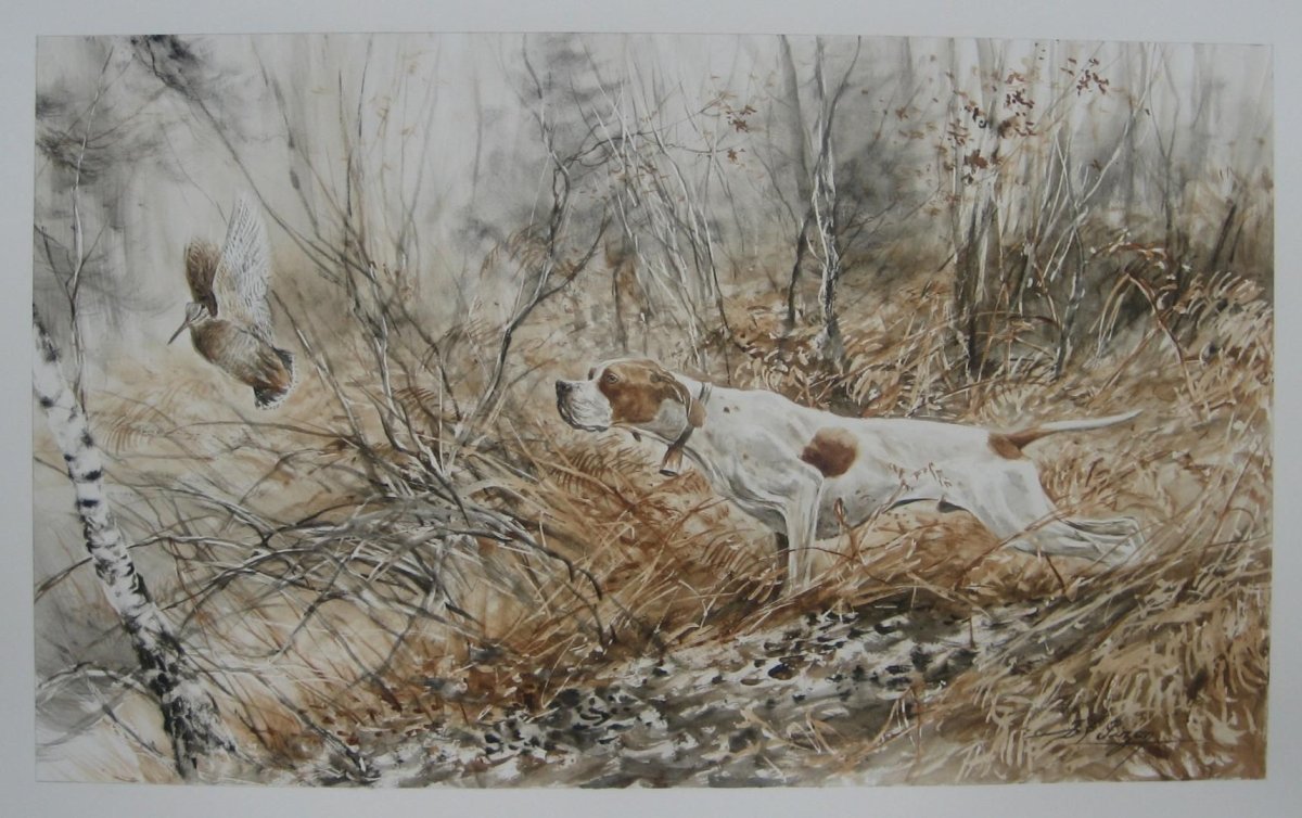 Фоксхаунд и Бигль