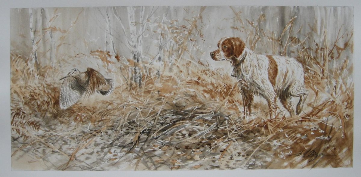 Курцхаар Тристан