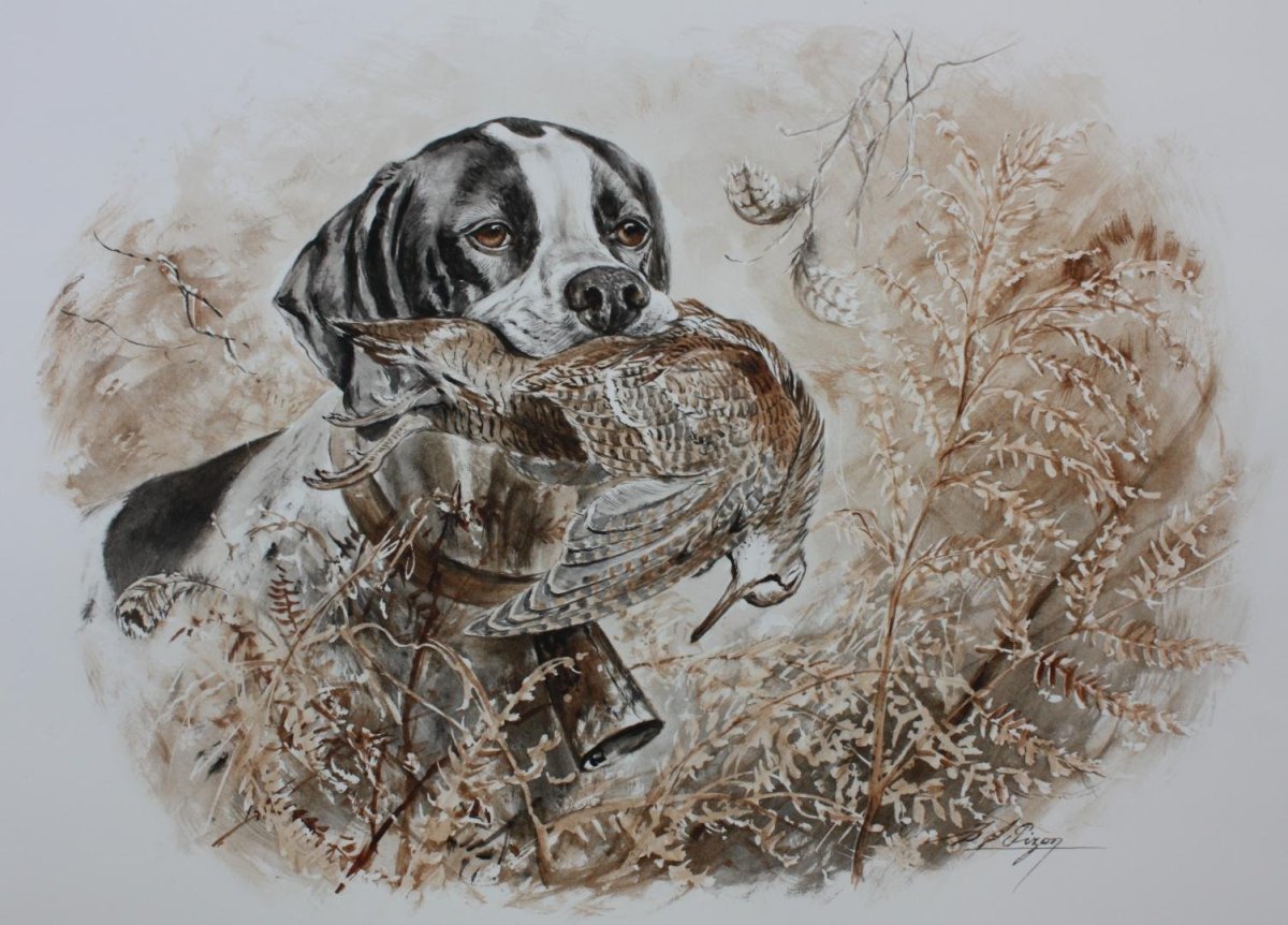 Спаниель картина