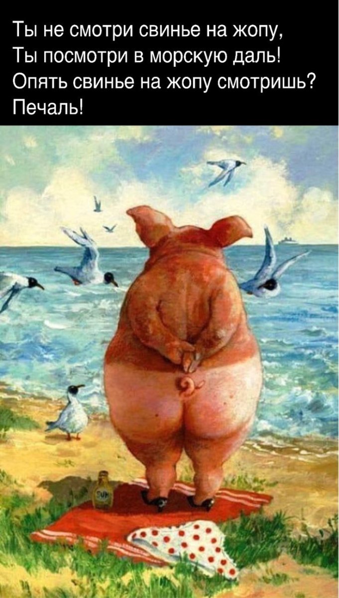 Свинья прикол