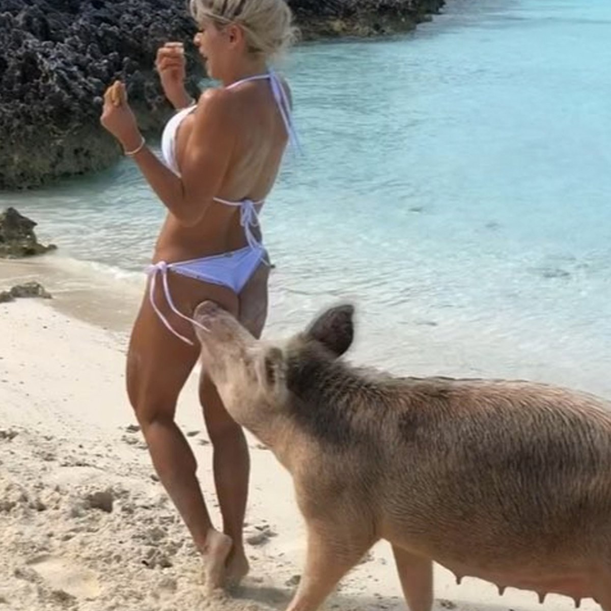 Руди Хурцльмайер Свинка