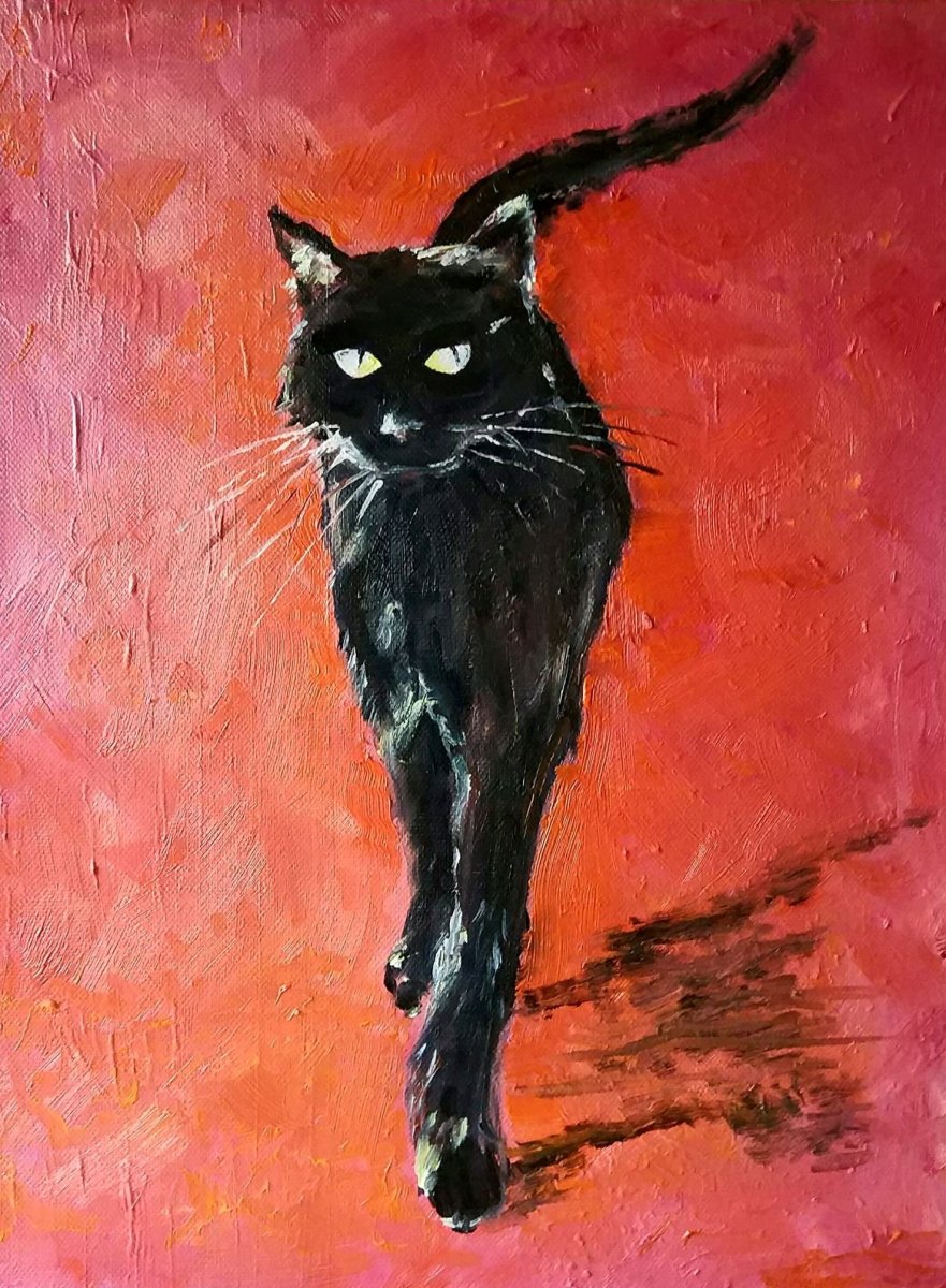 Чёрный кот