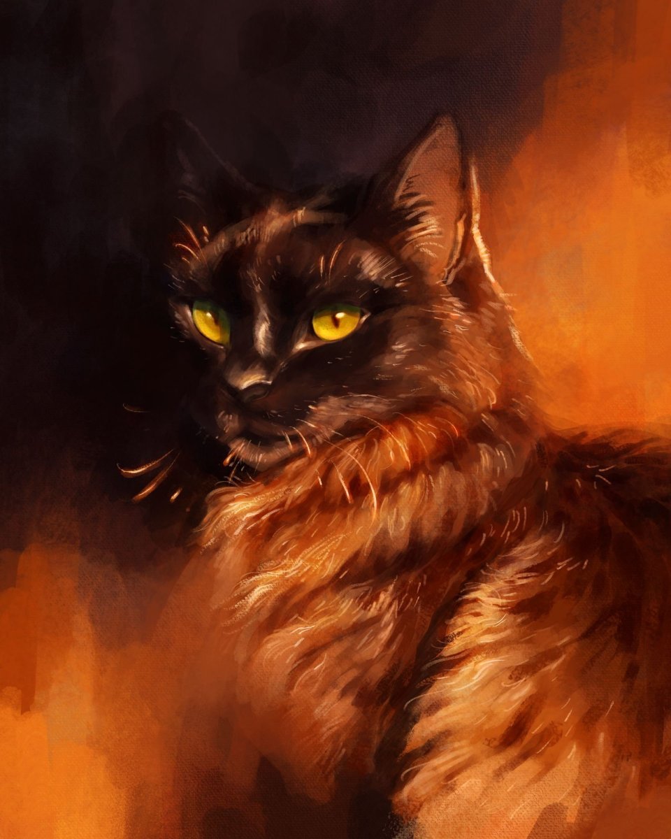 Коты Воители черная кошка с желтыми глазами