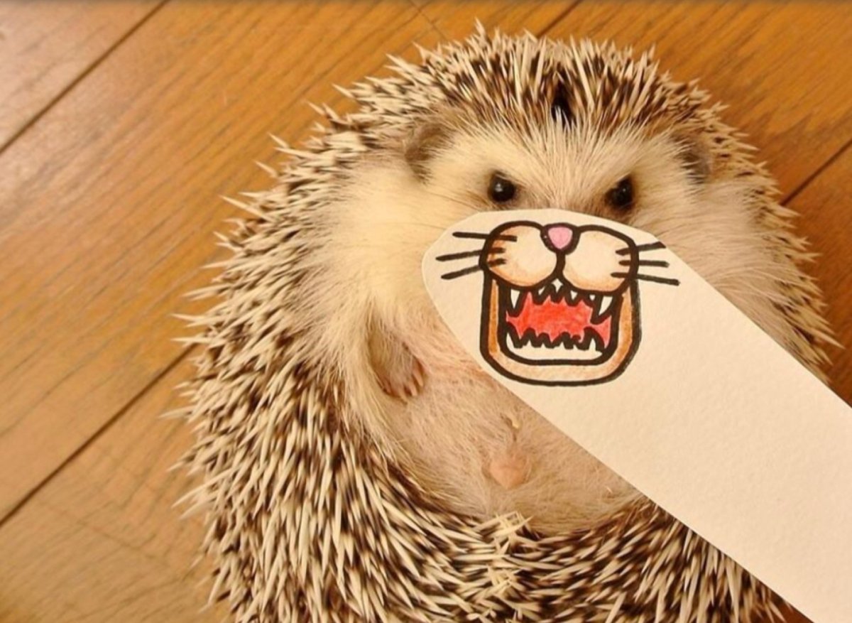 Довольный Ежик