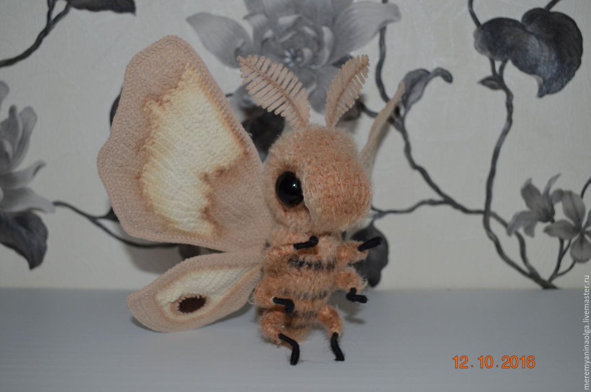 Тутовый шелкопряд бабочка