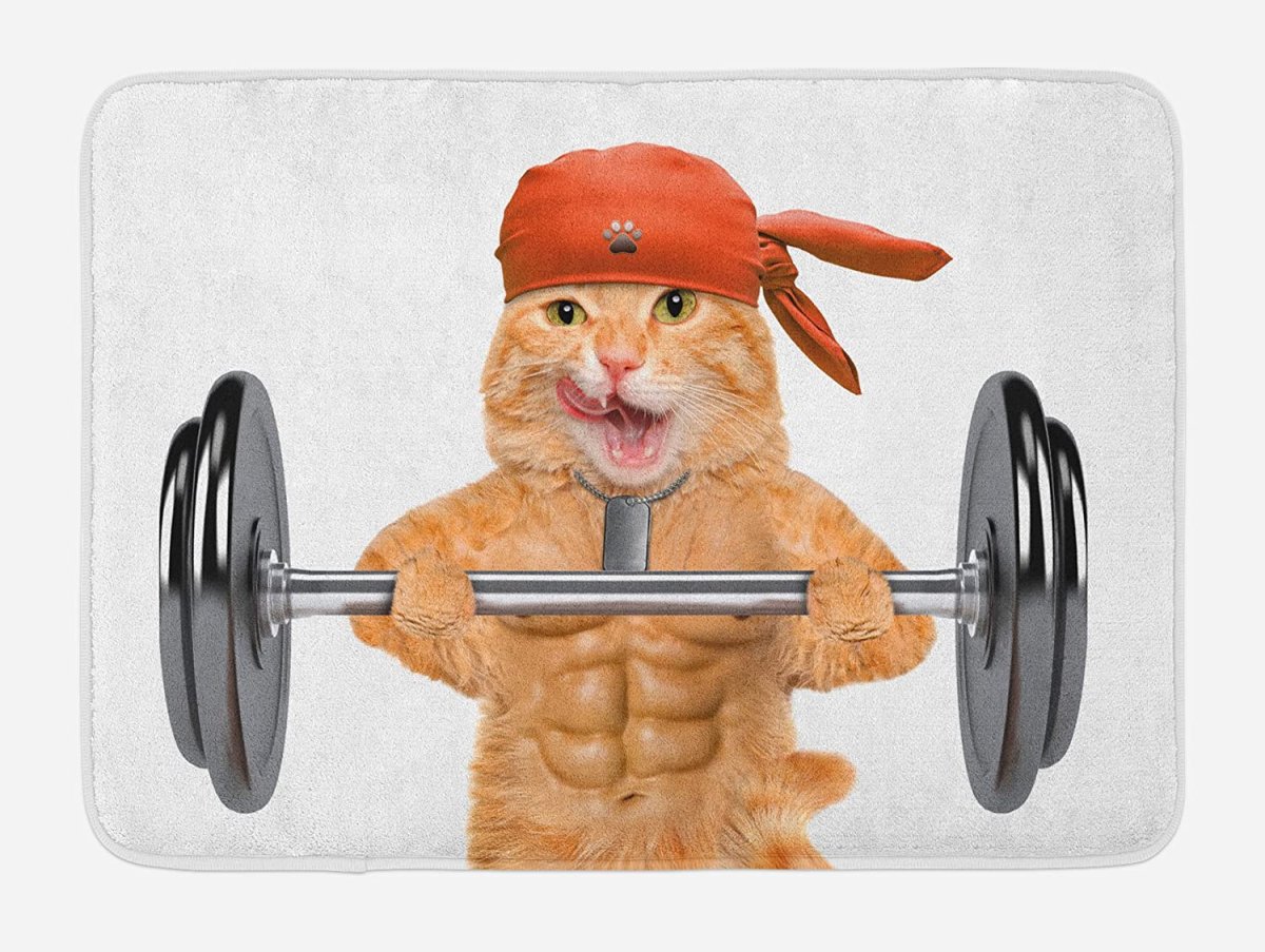 Кошка с гантелями