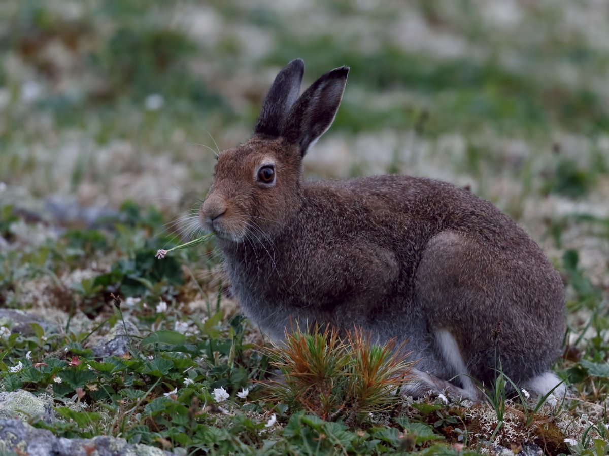 Печоро-Илычский заповедник
