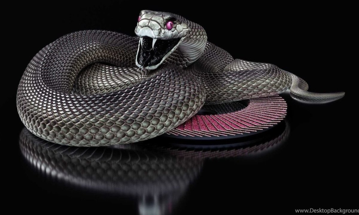 Белые змеи на белом фоне