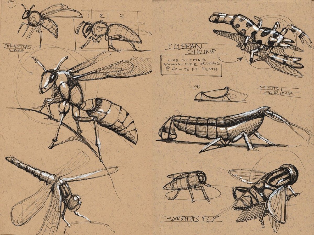 Насекомые референс