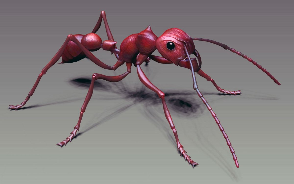 Муравьи арты