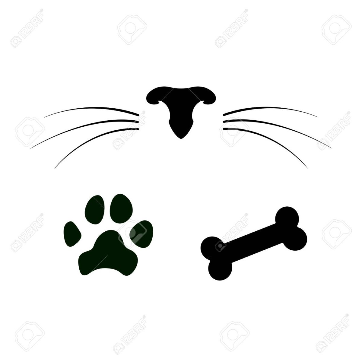 Кошачья лапа с когтями