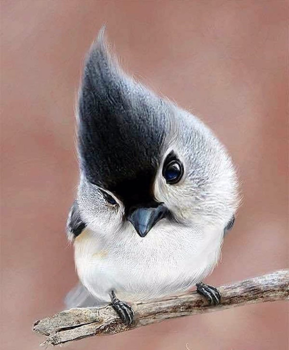 Птицы весной