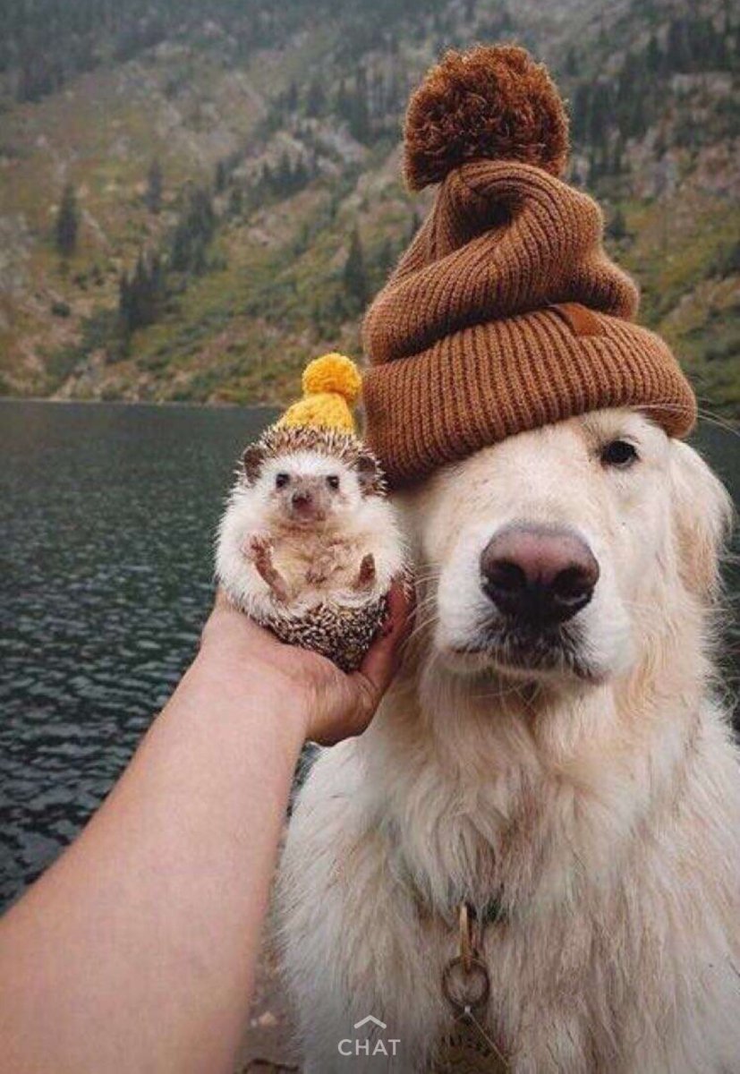 Осень не повод грустить