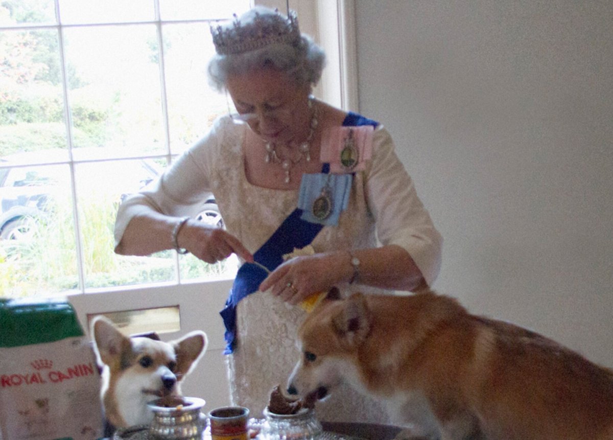 Королева Елизавета 2 и ее корги