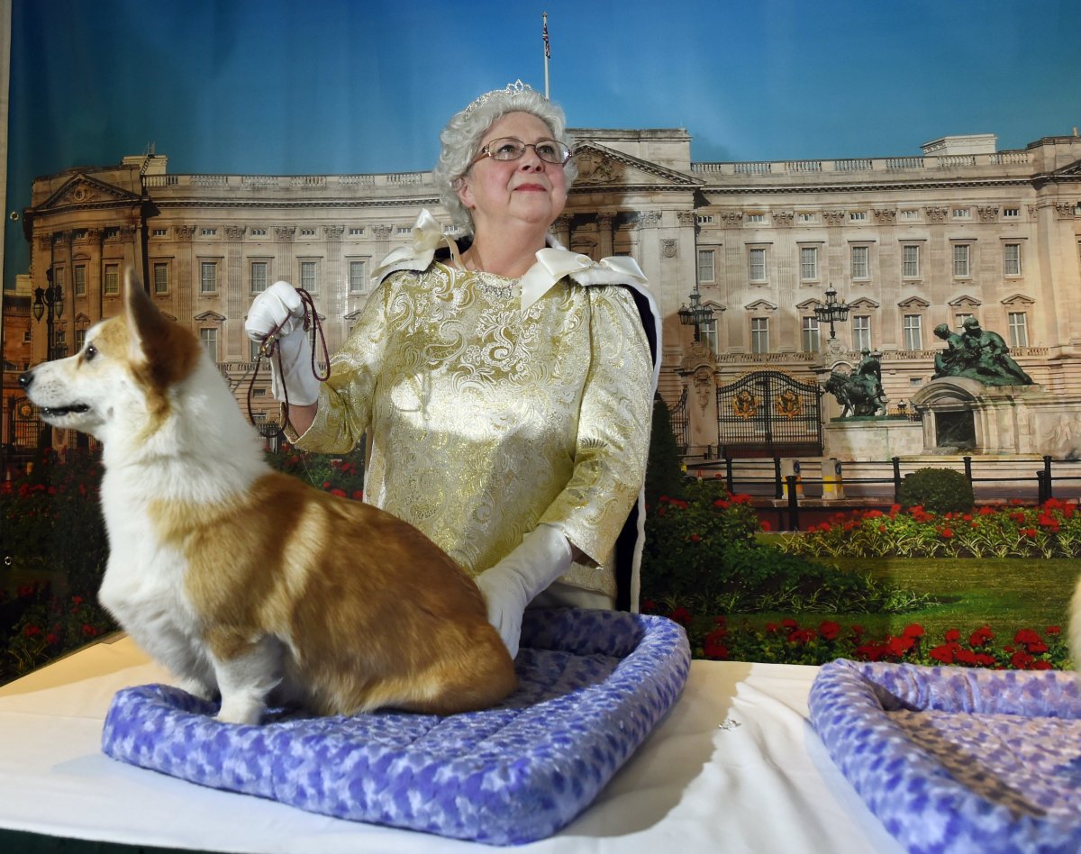 Корги собака Королева Англии