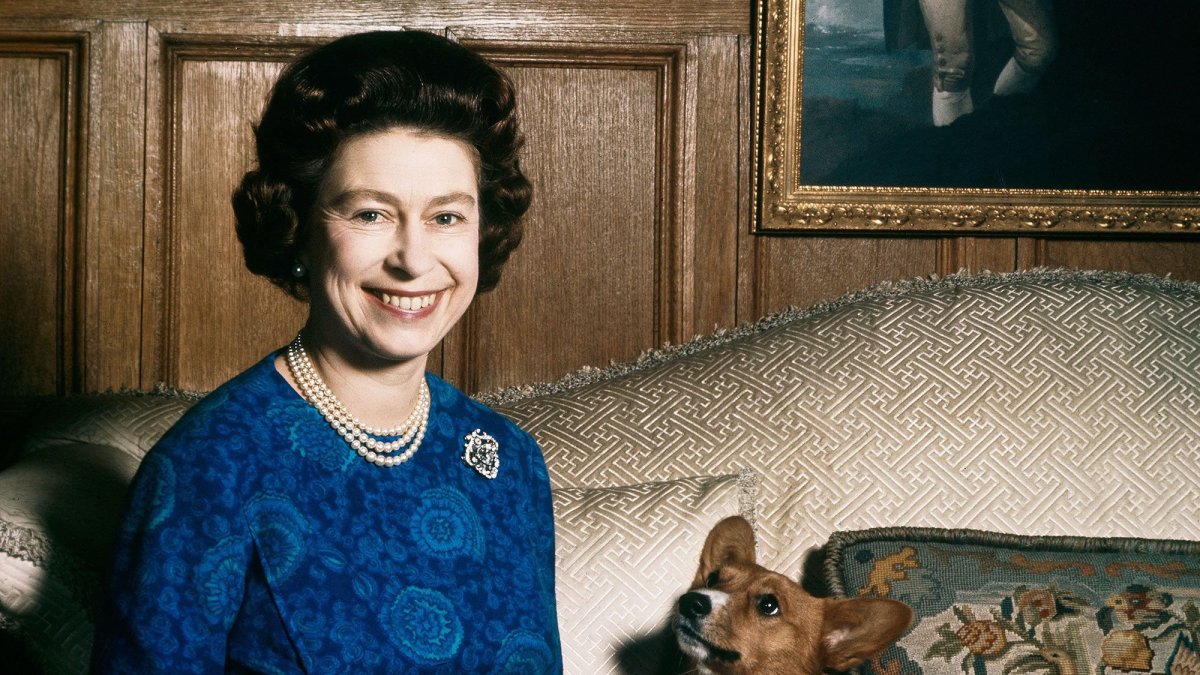 Корги королевы Тюссо