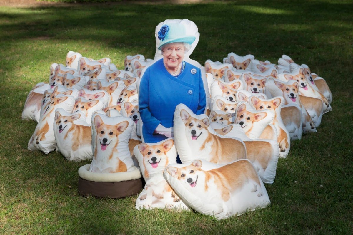 Королевские корги королевы Елизаветы