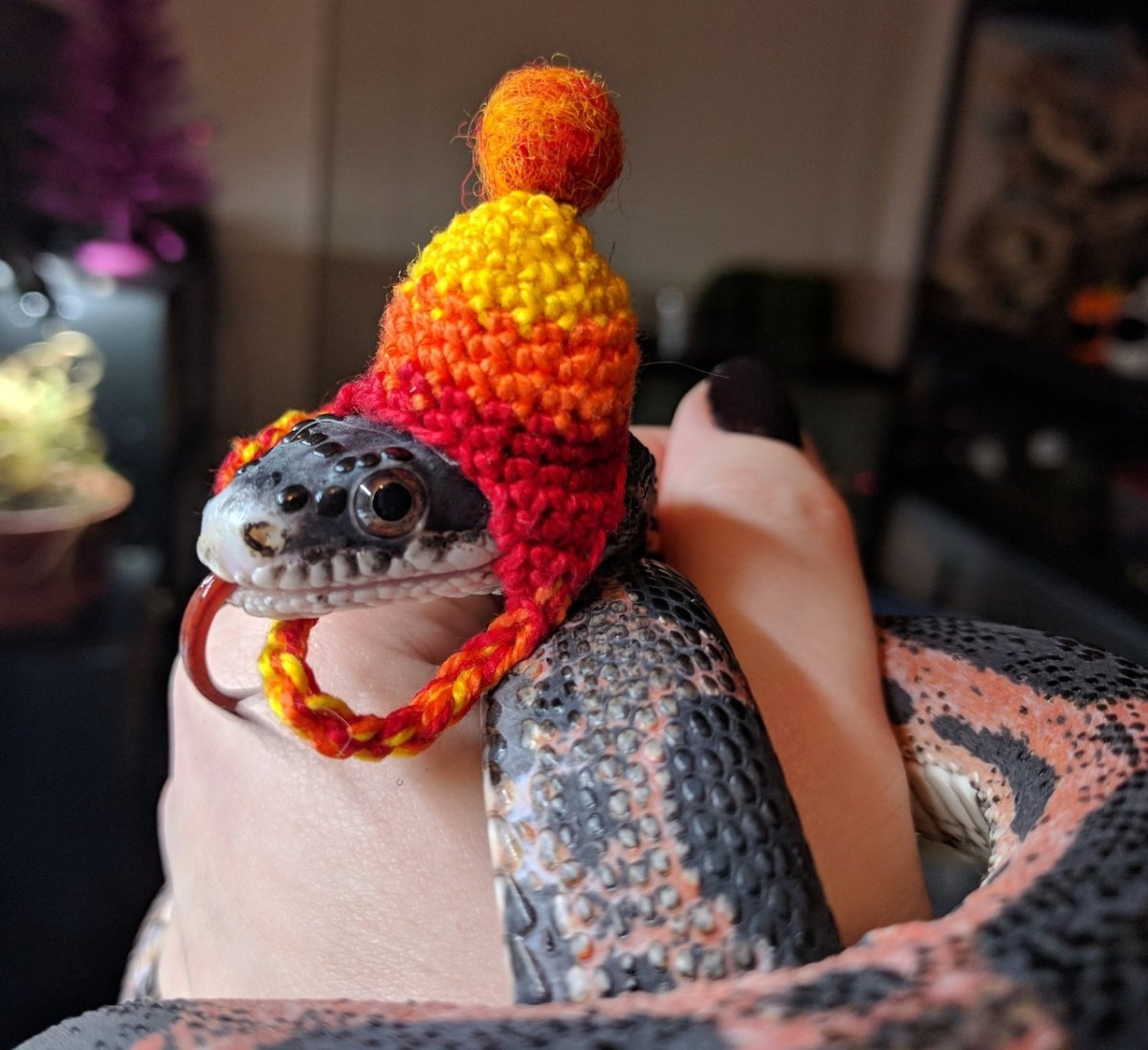 Змеи в шапочках