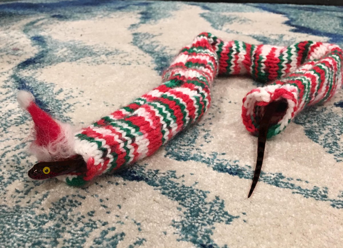 Змеи в одежде