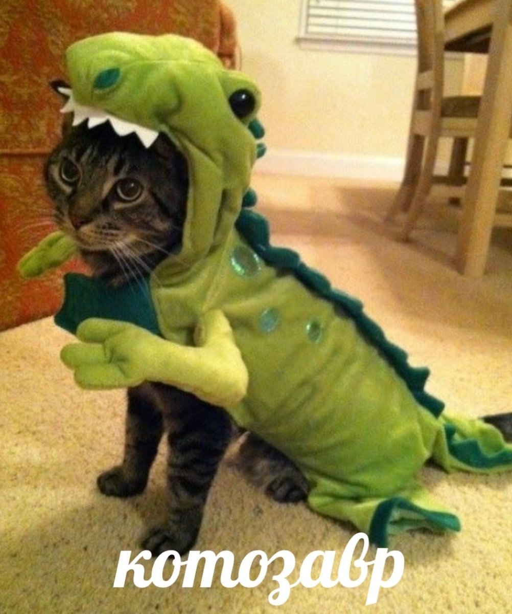 Никита Парахин