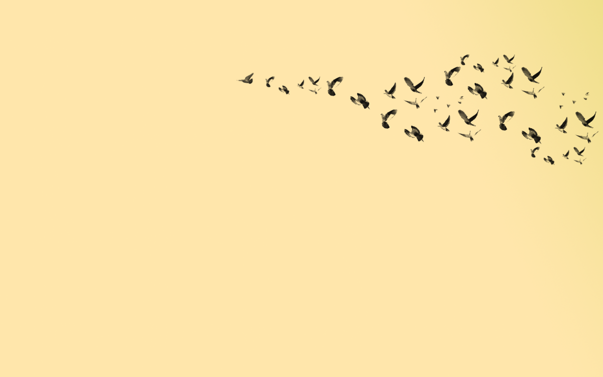 Белые голуби картинки