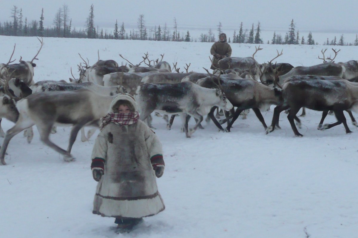 Название зимующих птиц на Урале