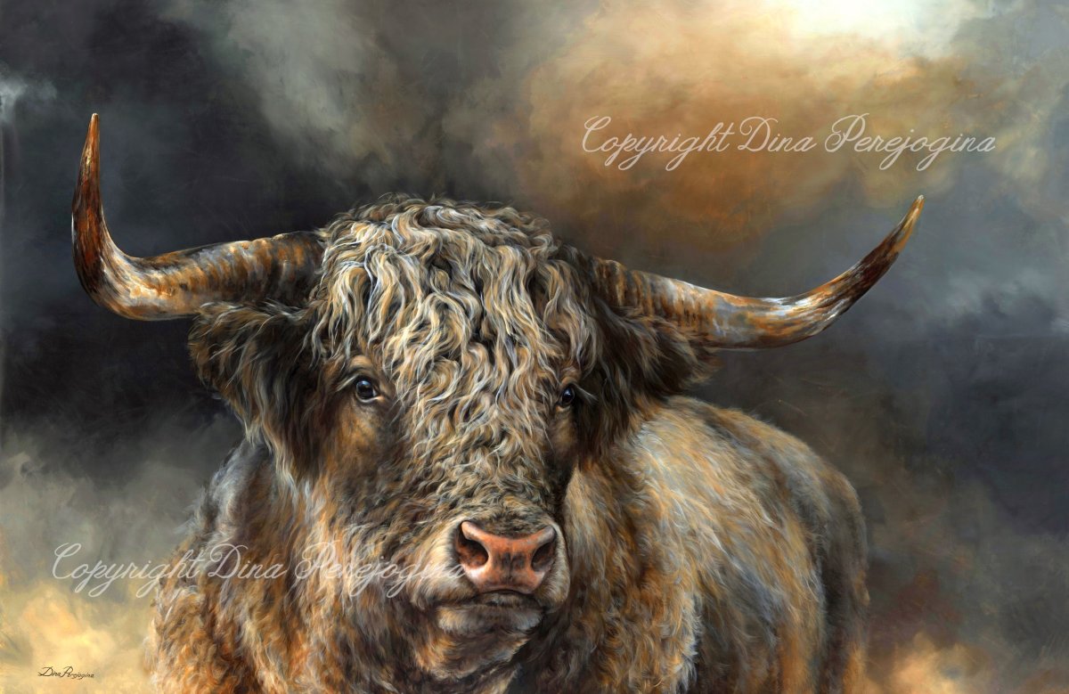 Картина дикий бык