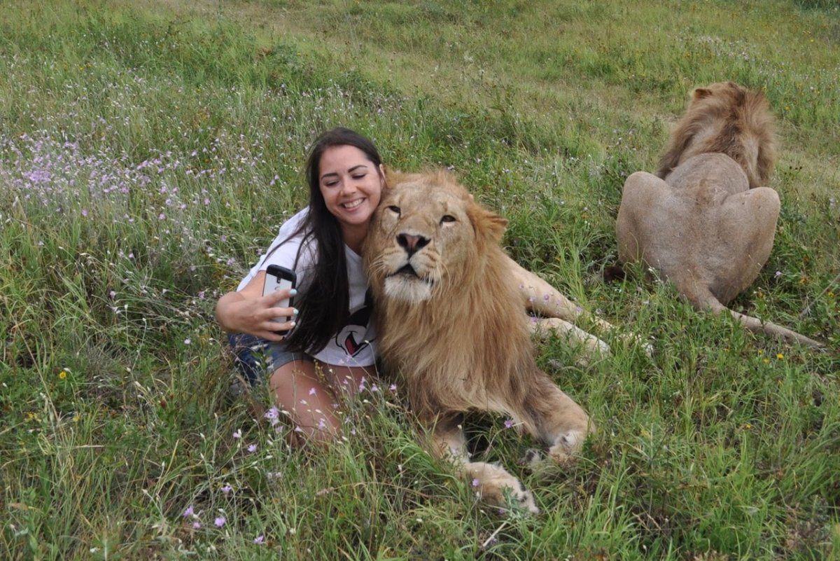 Девушка целует Льва