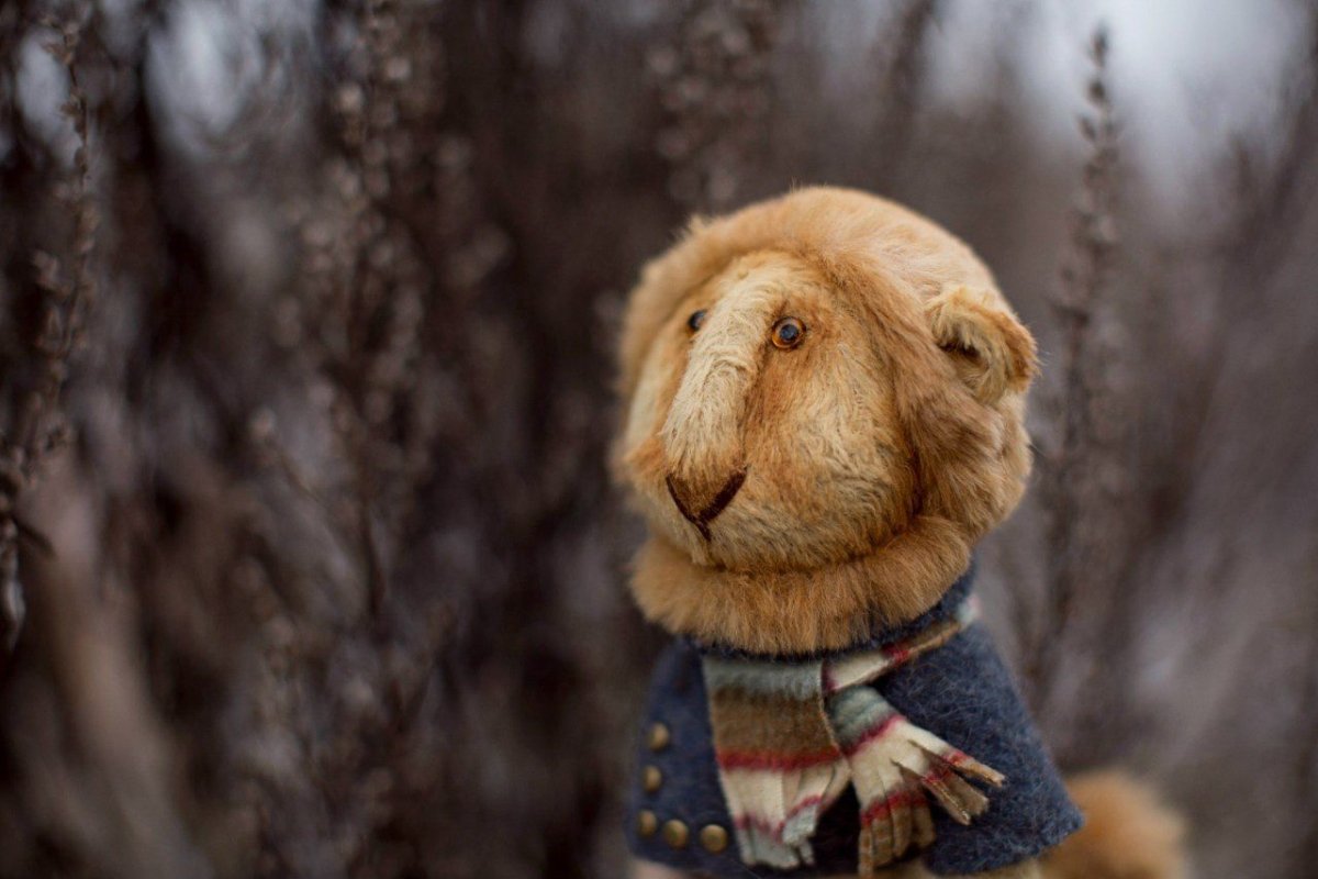 Львенок Тильда