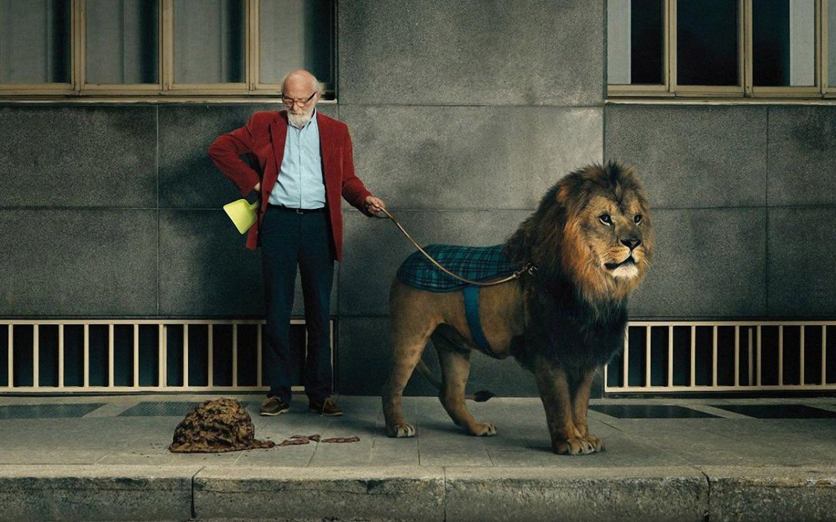 Лев Лео картинки