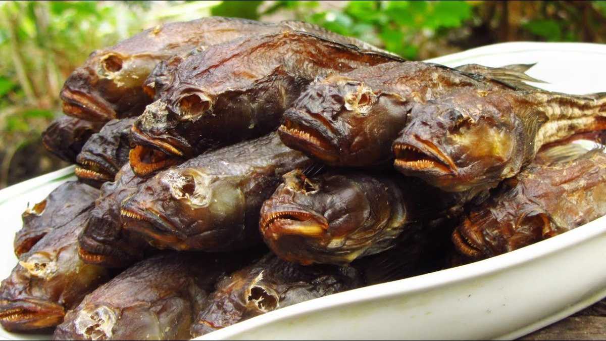 Красивый живописный бык