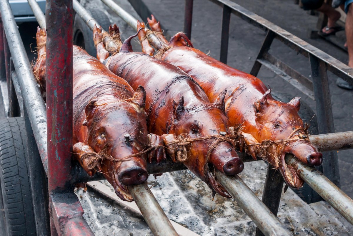 Жареная морская Свинка