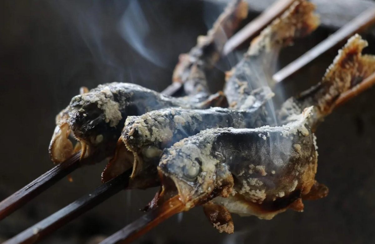 Изображение бык корова