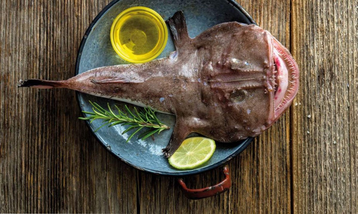 Бык на белом фоне