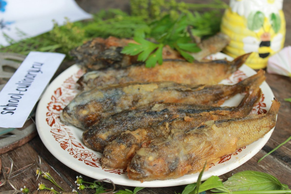 Корова рыжая морды