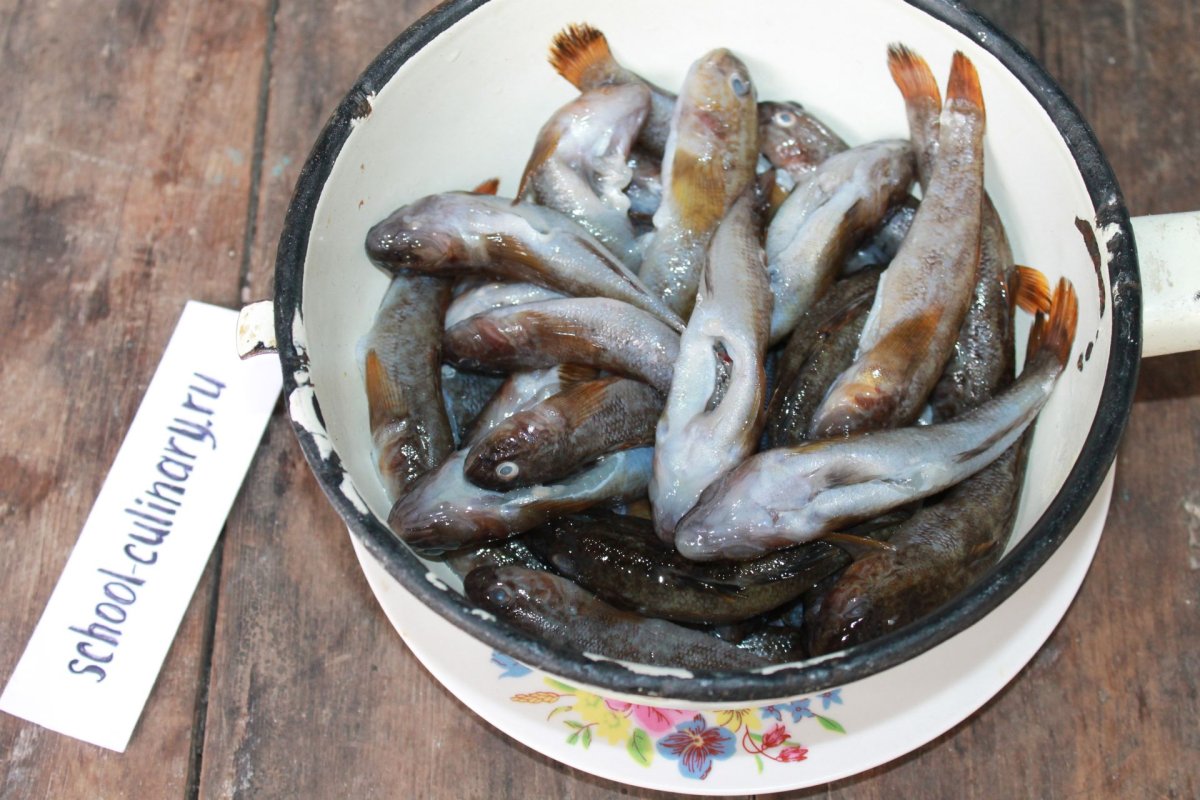 Смешной бык