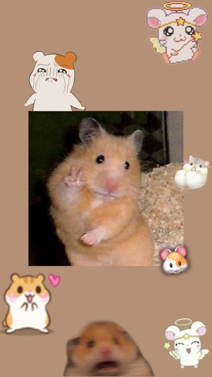 Хомяк с щеками