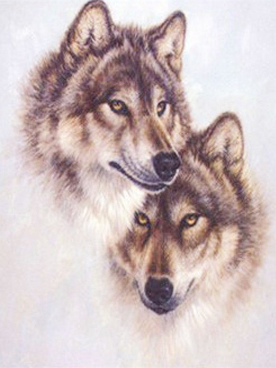 Пара Волков