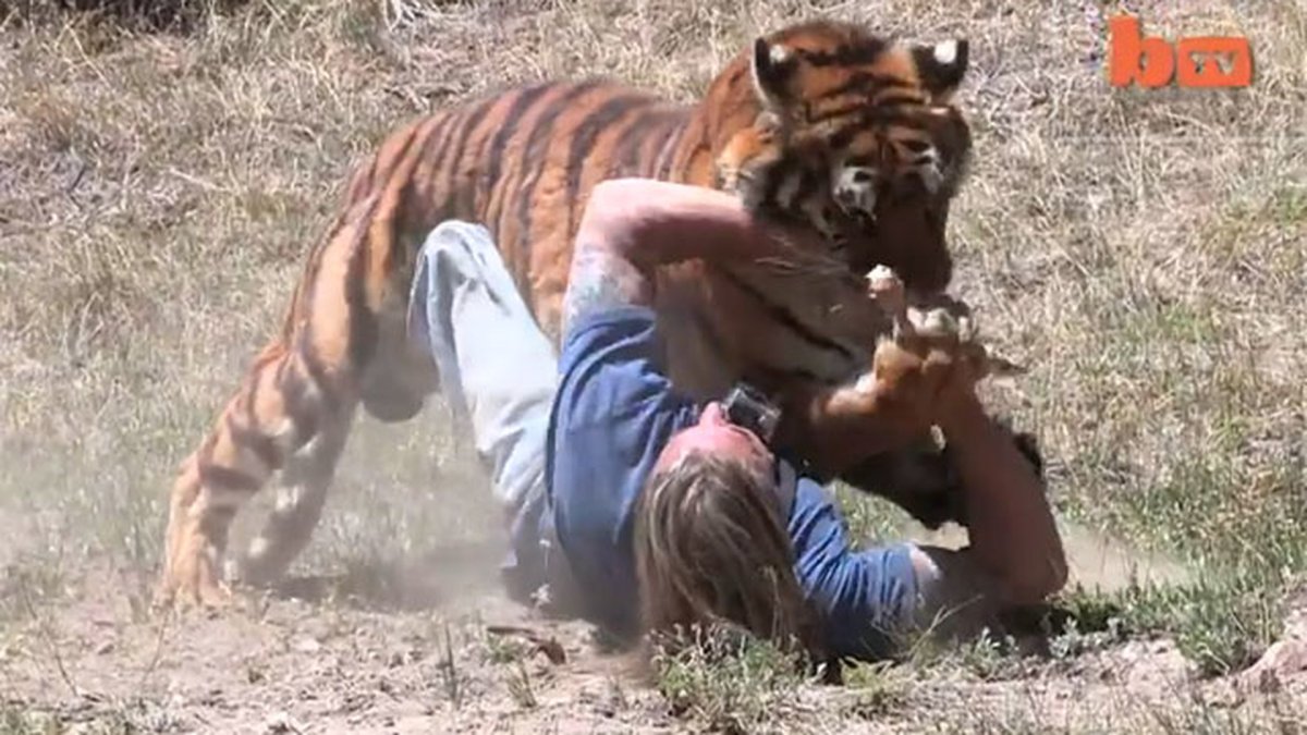 Лев со смыслом