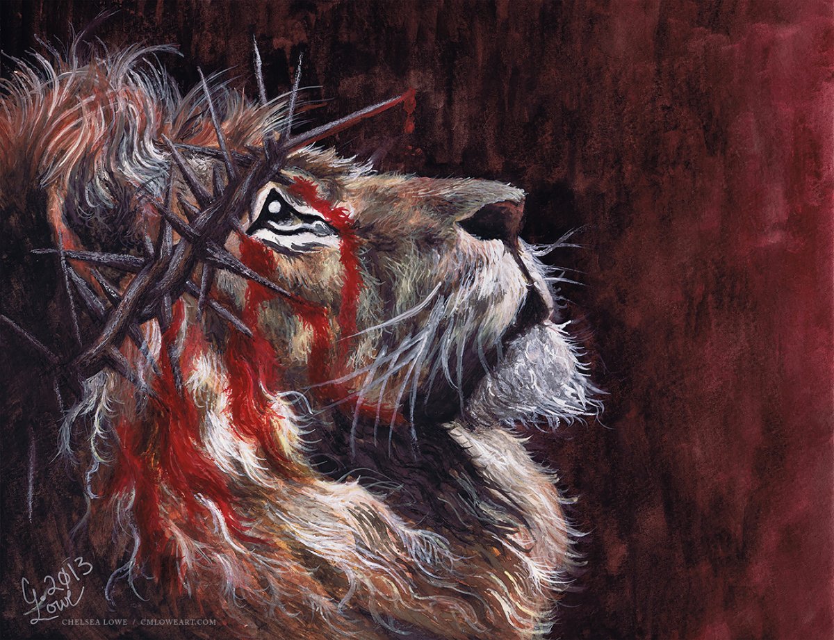 Голодные животные в зоопарке