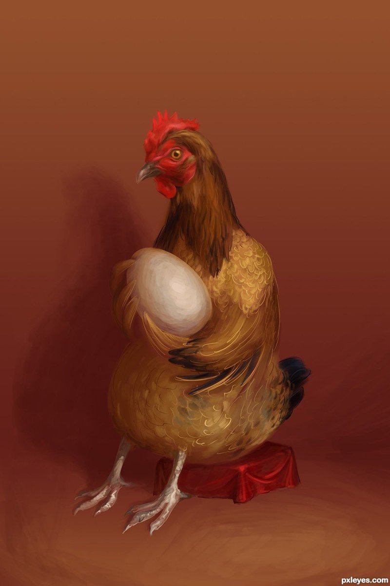 Наряд курицы