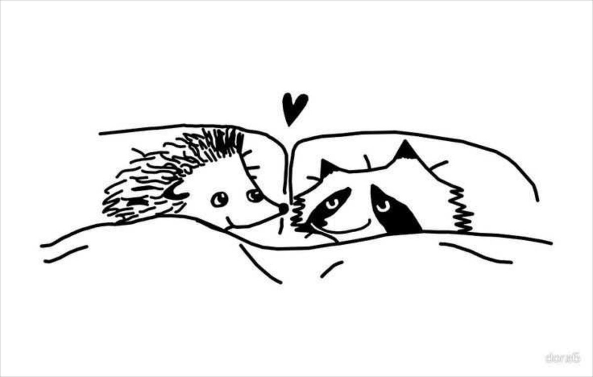 Енот с Ёжиком