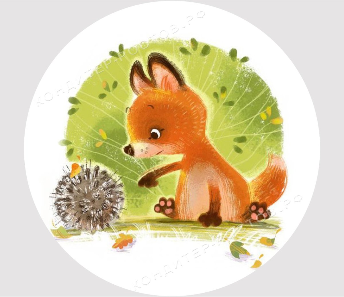 Anna Chernyshova иллюстратор