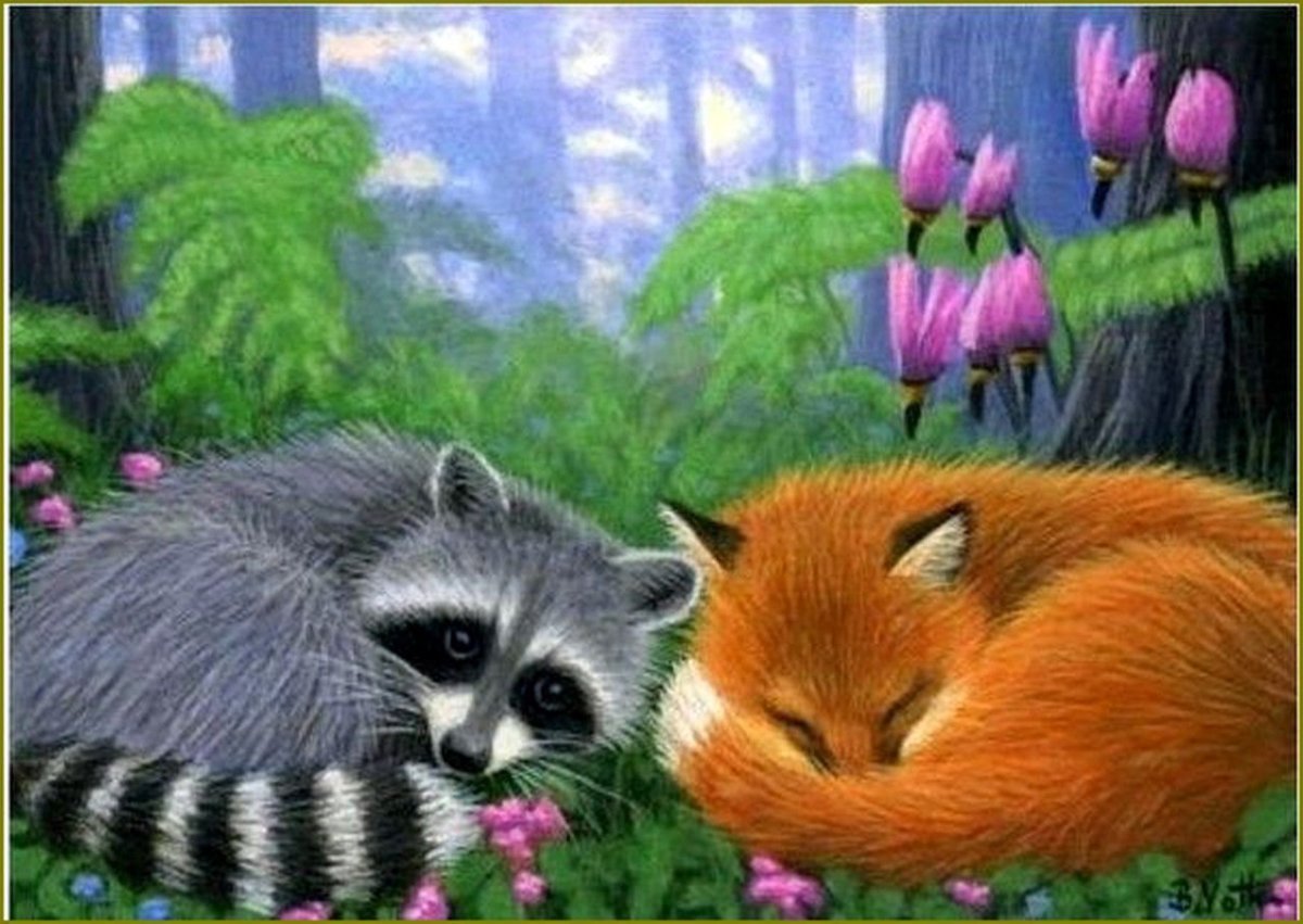 Енот и лиса арт