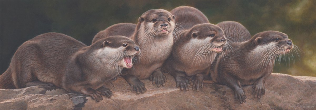 Выдра валяется на спинке