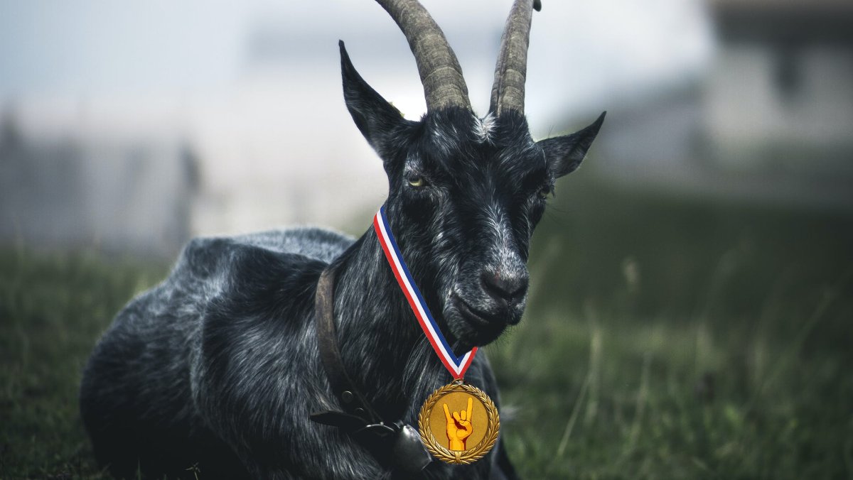 Муфлон и Кулан