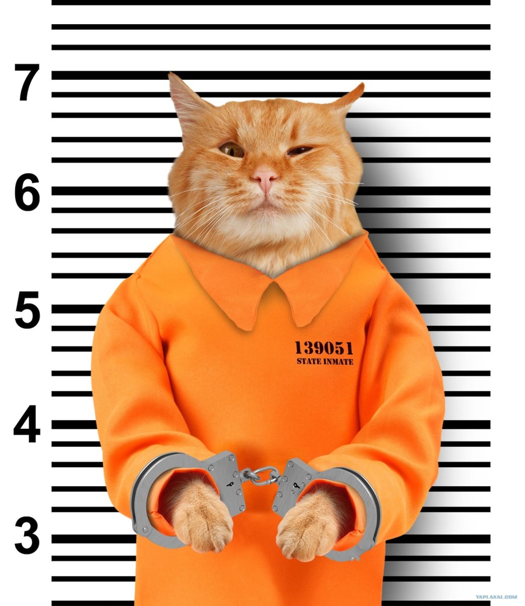 Какая кругом красота