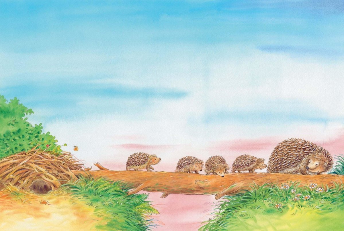 Фон с ежиками