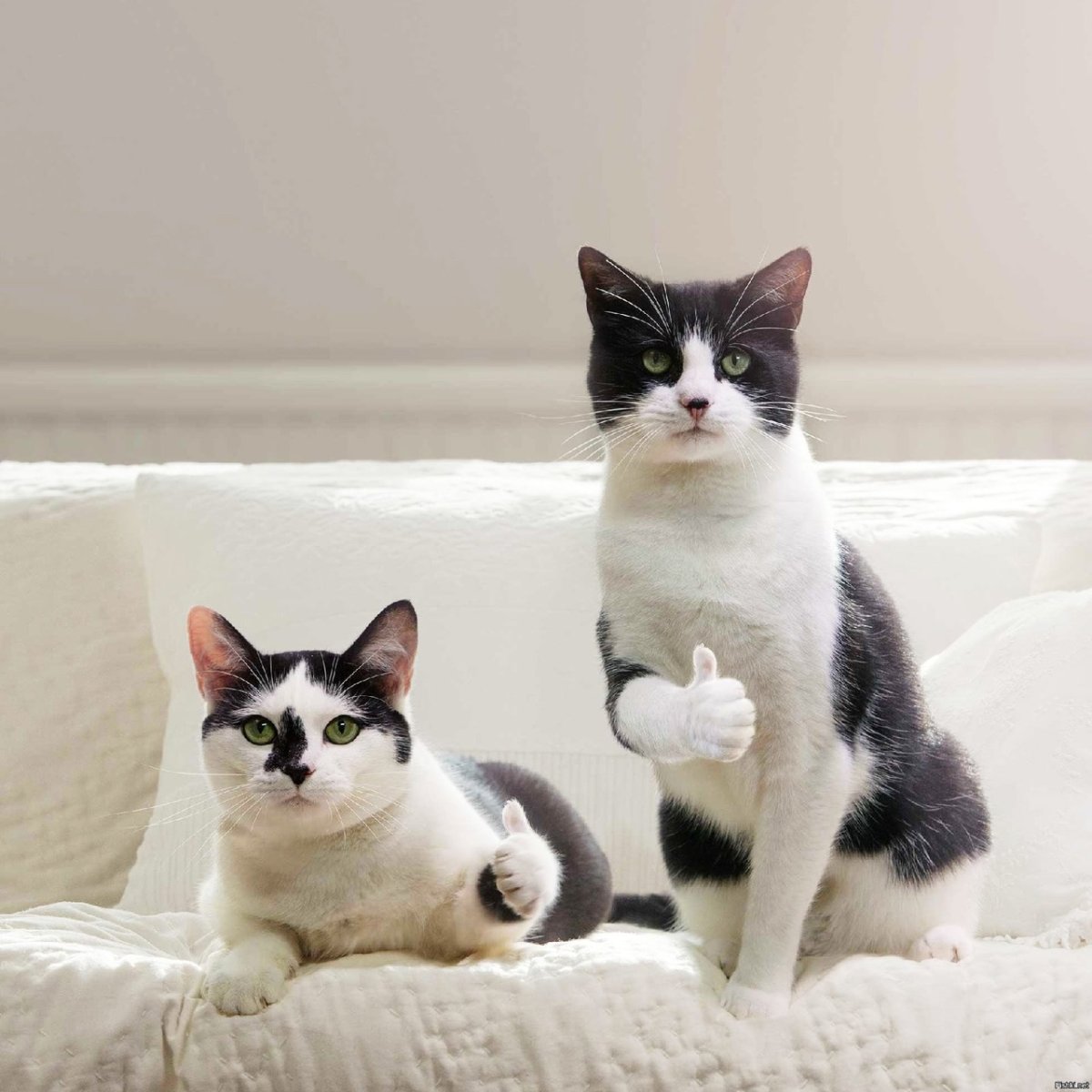 Привет красавчик хорошей смены